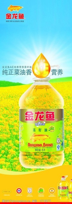 金龙鱼花生油图片