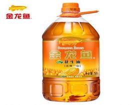 金龙鱼花生油5l价格 金龙鱼花生油5l批发 金龙鱼花生油5l厂家